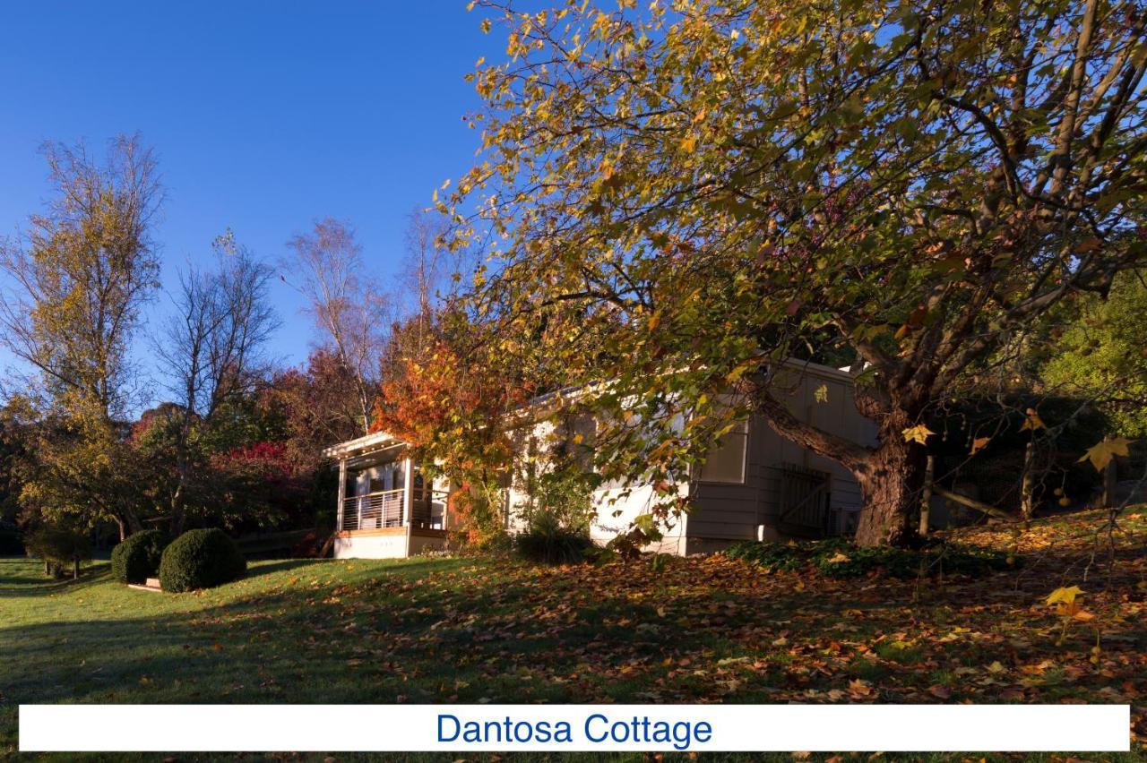 Villa Dantosa Blue Mountains Retreat Katoomba Esterno foto